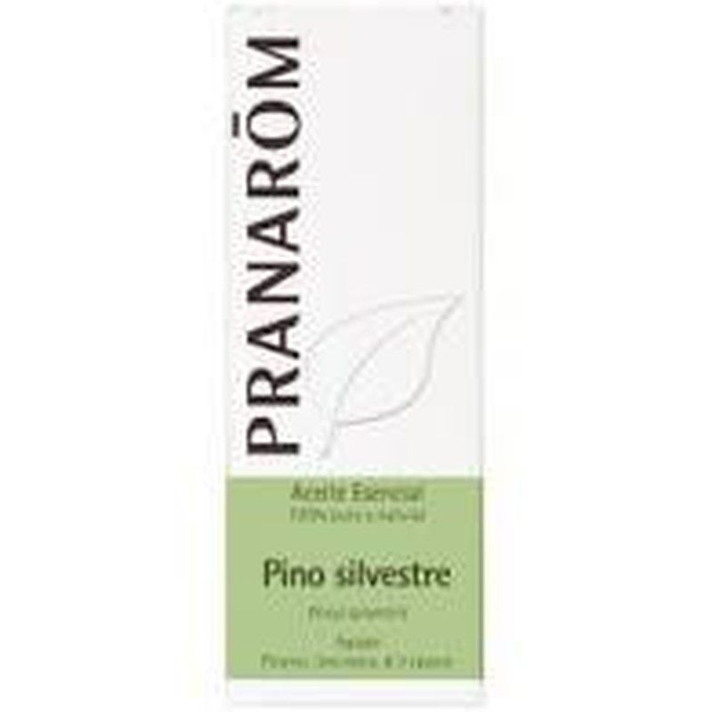 Pino silvestre agujas 10 ml