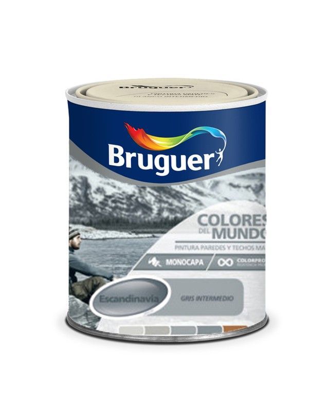 Pint Plast Escandi. Gris Inter 750 ML