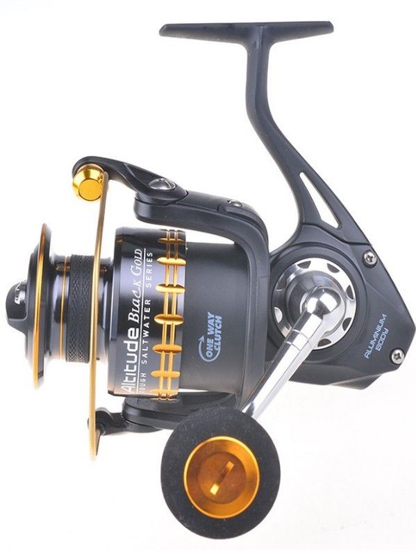 Pioneer Altitude Black Gold 6000