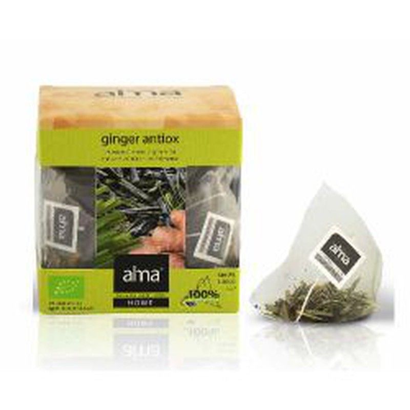 Piramides Te Verde Ginger Antiox Eco 30g