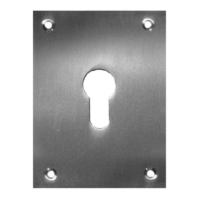 Placa bocallave MICEL. Placa Bocallave 2 Un.80X80Mm Niq.Satin.