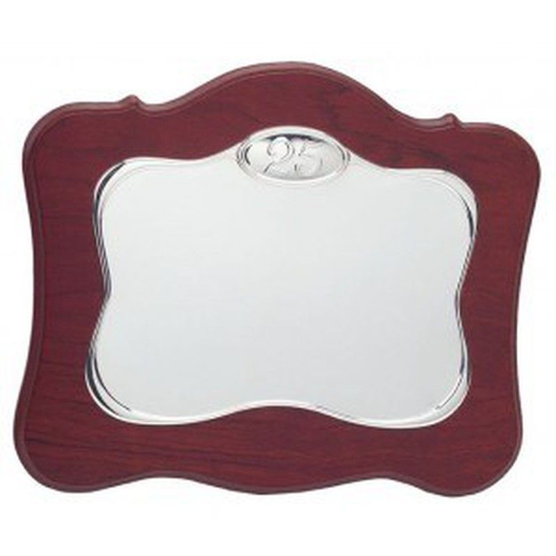 Placa Conmemorativa Alpaca 25 Aniversario 8002825