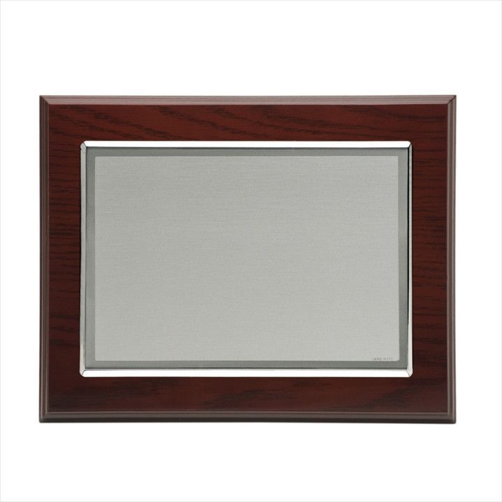 Placa Homenaje Madera-Latón 29x23cm P-2008/1LB Lisa En Brillo