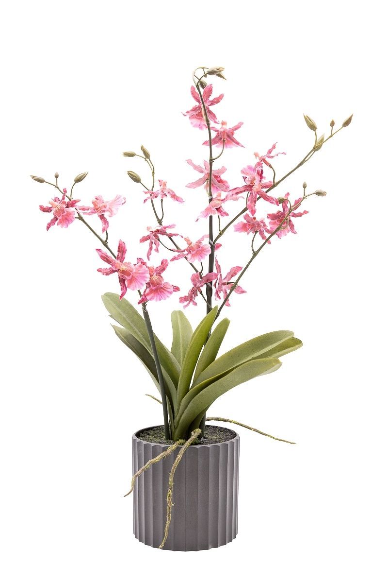 Planta artificial en rosa fucsia de Orquídea Oncidium Sharry Baby
