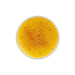 Plato de postre Maracuyá de loza en amarillo y morado, Ø 21 x 2,6 cm | Frutas Tropicales