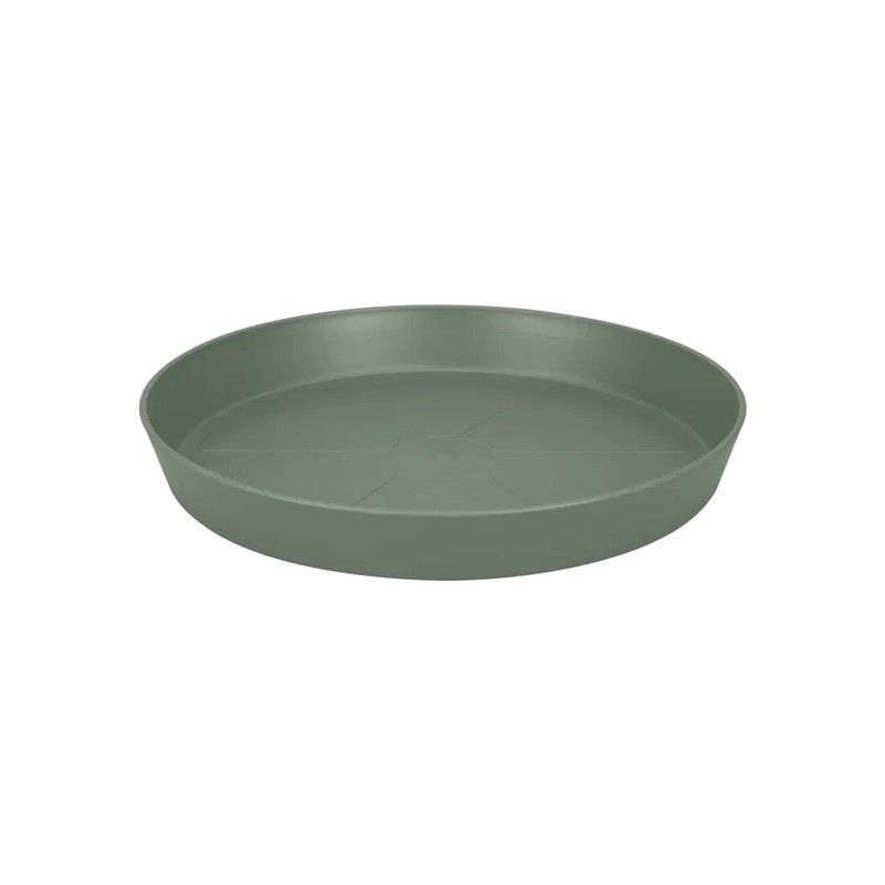 Plato Loft Urban Saucer