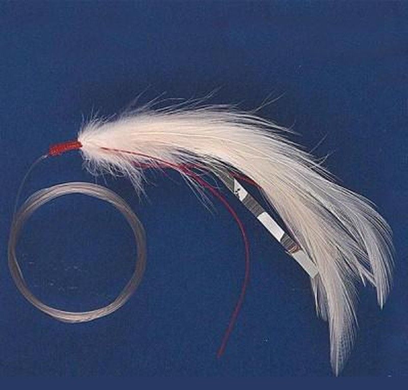 Pluma Kali Montada nº3