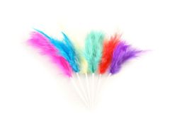 Plumas colores grandes 12cm. Plumas de colores Pascua