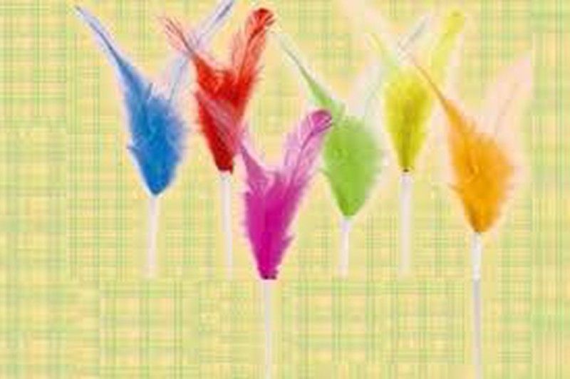 Plumas Colores Pascua 8cm (10 Unidades)