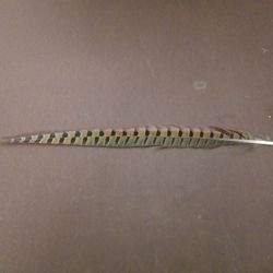 Plumas de aves 10 uds.