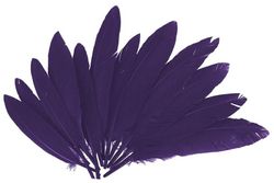 Plumas indio 25 mm x 140 mm aprox. lila