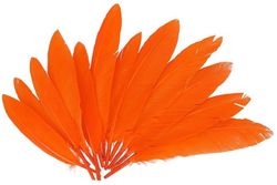 Plumas indio 25 mm x 140 mm aprox. naranja