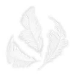 Plumón blanco 75 mm