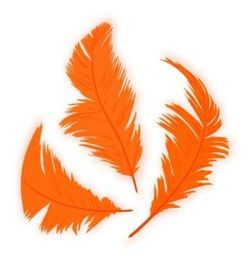 Plumón naranja 75 mm