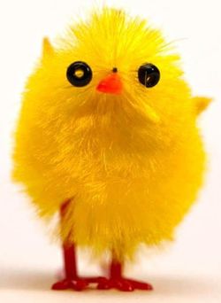 Pollito amarillo Mona de Pascua 3,5 cm.