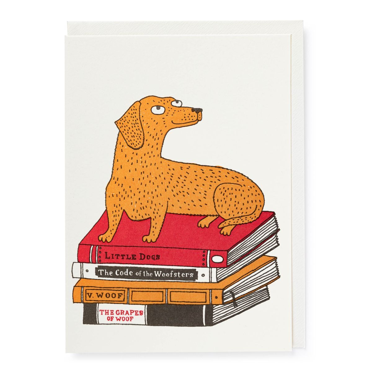 Postal Original Bookshop Dog Archivist Ideal Regalo