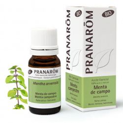 Pranarom Aceite Esencial Menta De Campo BIO 10ml