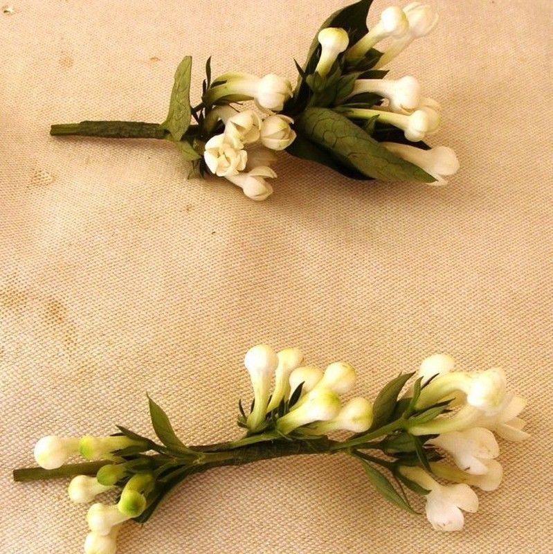 Prendidos para el Novio y Acompañantes