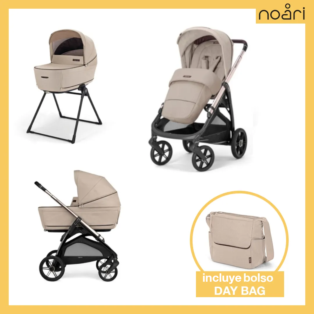 Promoción Especial Inglesina Aptica System Duo Pashmina Beige + Day Bag