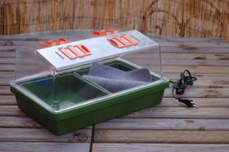 Propagador eléctrico