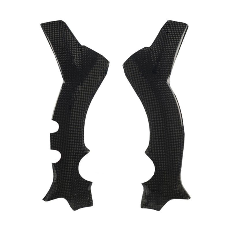 Protector Carbono Chasis TRRS