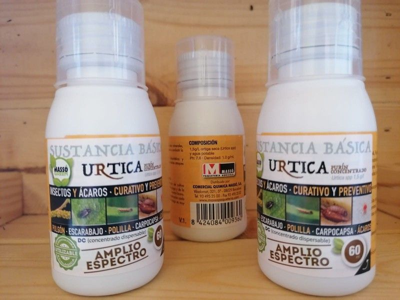 Purín de ortigas, insecticida de ortiga