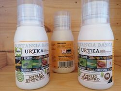 Purín de ortigas, insecticida de ortiga