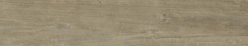 Quercus Antico 22x120