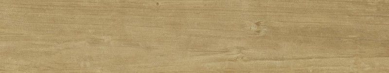 Quercus Miele 22x120