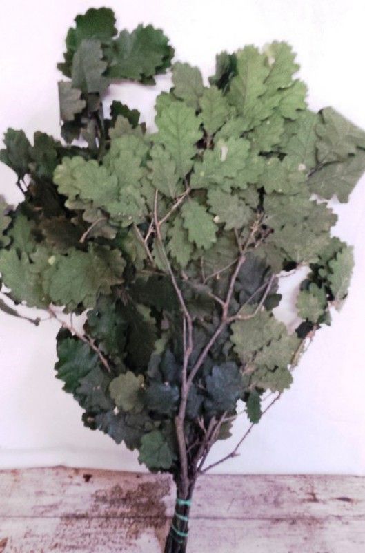 Quercus Natural Preservado