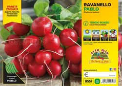 Rabano Redondo Rojo 12 Plantas En Pack