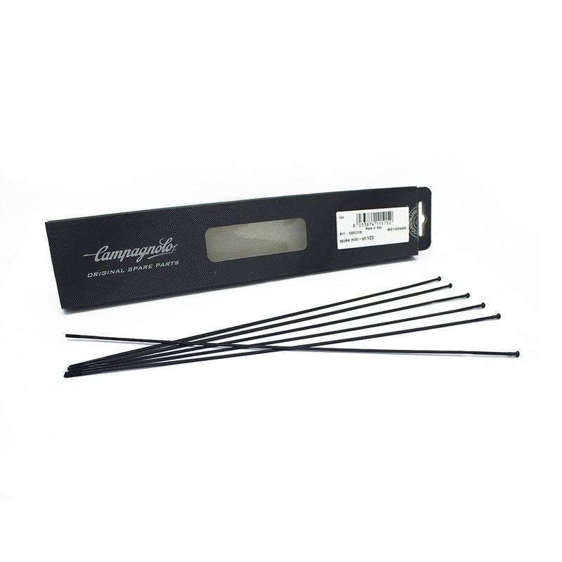 Radios Campagnolo Zonda 6U