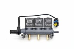 Rail De Inyeccion 3 Cyl Evo008G Con Sensor De Temperatura Tartarini