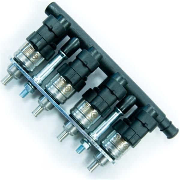 Rail De Inyeccion 4 Cyl Inyector Eg2000 Europegas