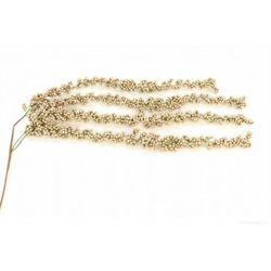 RAMA BERRY ARONIA L110 CM.