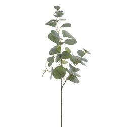 Rama Eucaliptus Planta Artificial Zaraplant