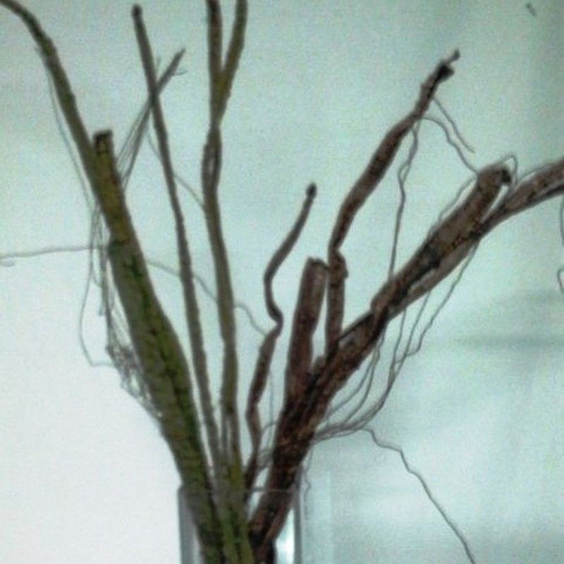 Ramas Decorativas artificiales