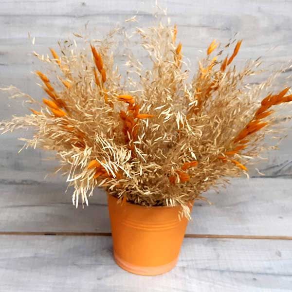 Ramillete de Flor Holanda