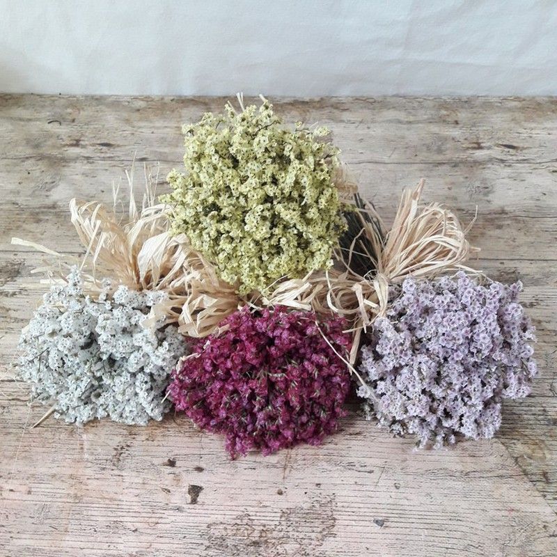 Ramilletes Flor Seca 10 uds.