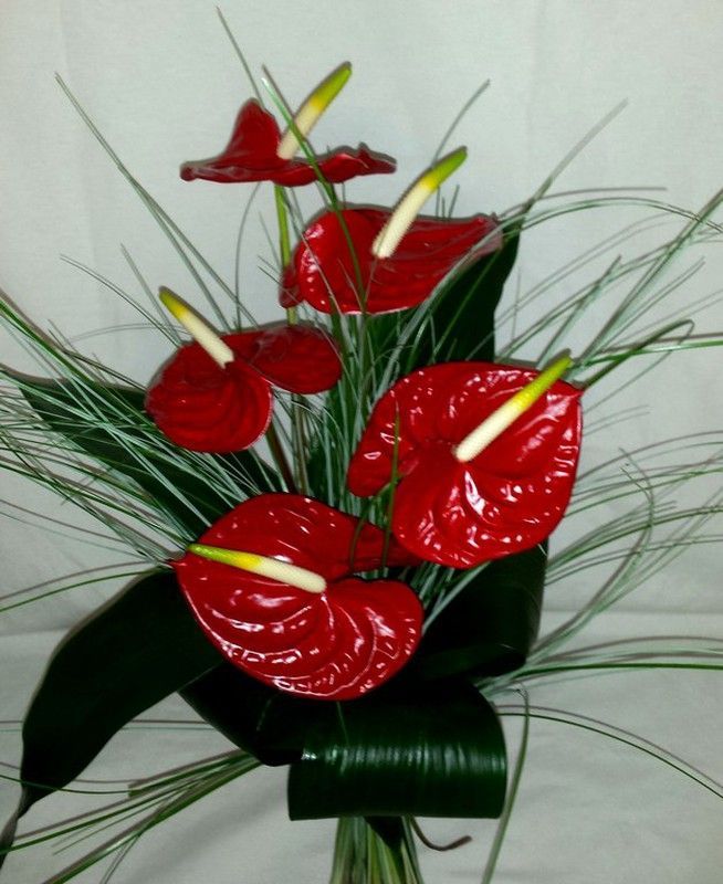 Ramo Anthurium Rojo