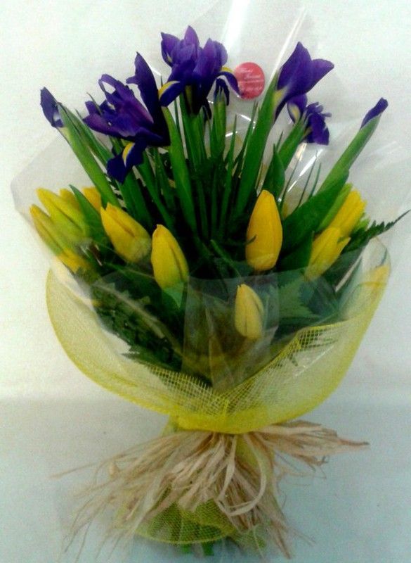 Ramo Bicolor Holandés