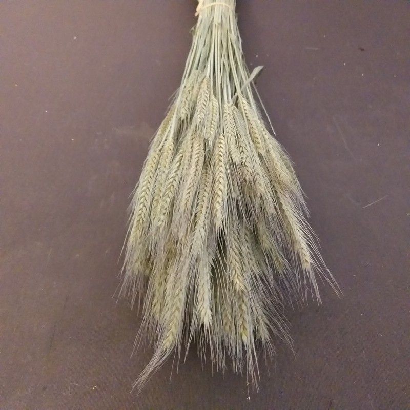 Ramo Cebada natural seca