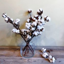 Ramo de Algodón Natural Super Extra Pack 4 varas