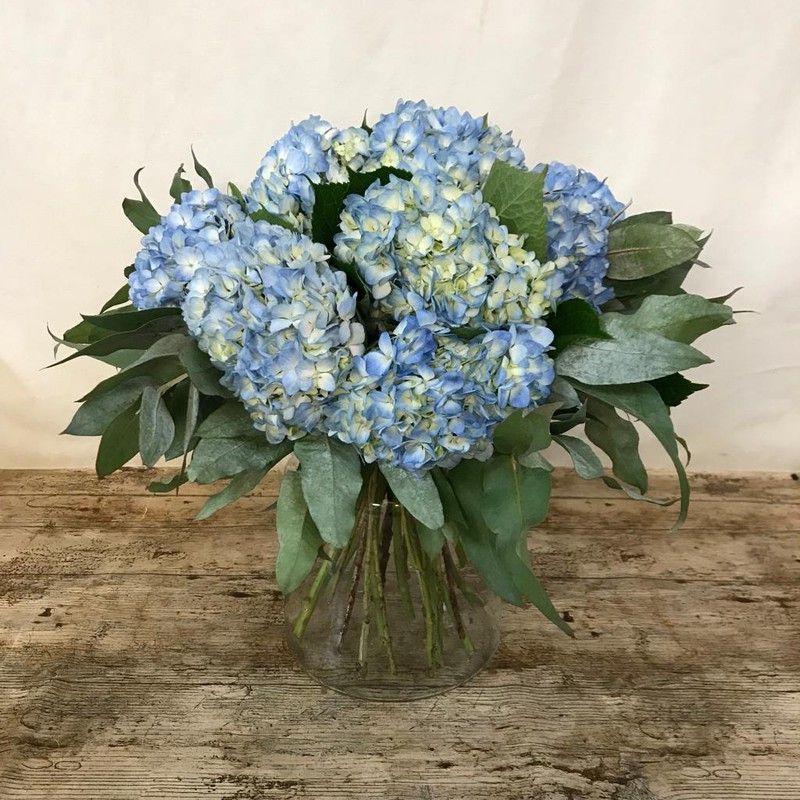 Ramo de Hortensias Mathew