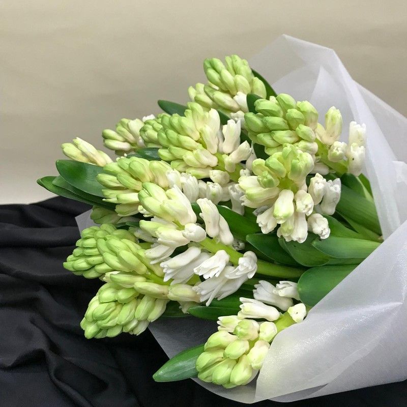 Ramo de Jacintos para Regalar