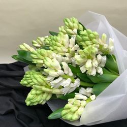 Ramo de Jacintos para Regalar