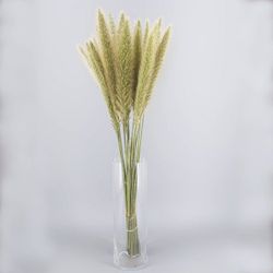 Ramo de Pennisetum Ov Blondie 10 tallos