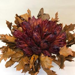 Ramo de proteas secas para Regalar