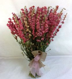 Ramo Delphinium Seco