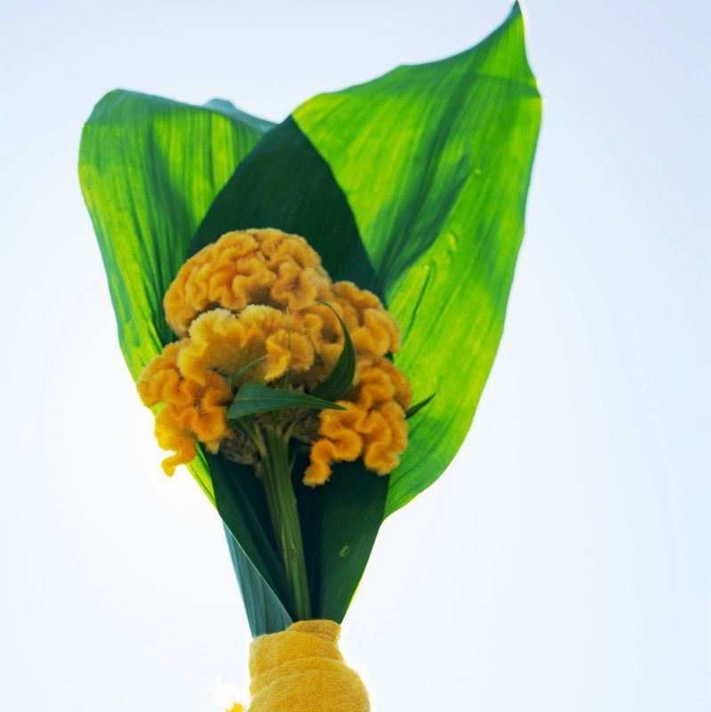 Ramo Flor Individual Guiño de Celosía